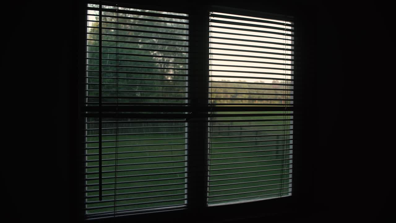 Steady shot of window with blinds with a nature landscape view