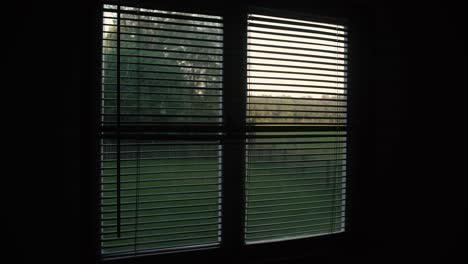 steady shot of window with blinds with a nature landscape view