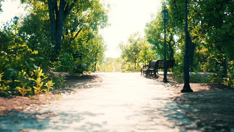 empty closed park as prevention from coronavirus covid-19 disease