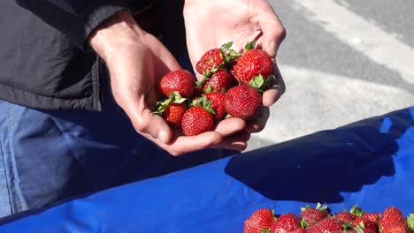 fresh strawberries held in hands at a market