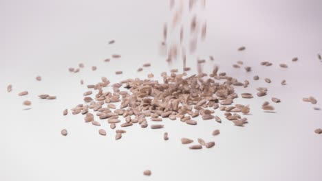 falling sunflowers seeds onto heap in white background