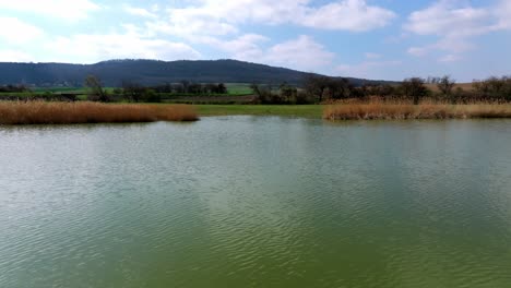 Reeds-In-The-Lake-Against-Cloudy-Sky---Aerial-Drone-Shot