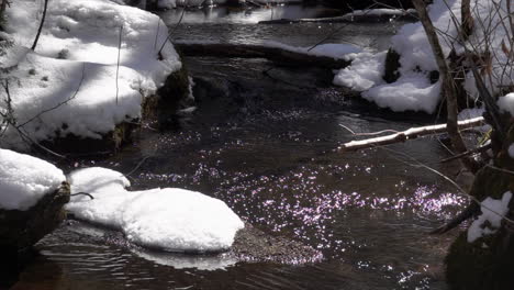 Cámara-Lenta-Del-Arroyo-De-Montaña-Durante-El-Deshielo-Primaveral