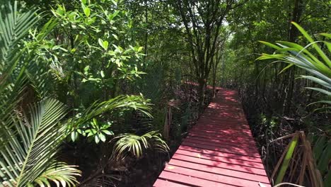 bosque de manglares con un tablero rojo a pie para el ecoturismo