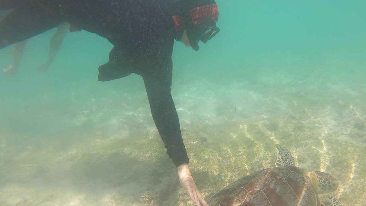 Swimming underwater and getting close with sea turtle
