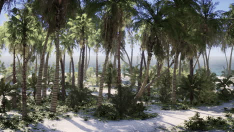 Tropical-Beach-with-white-sand-turquoise-water-and-palm-trees