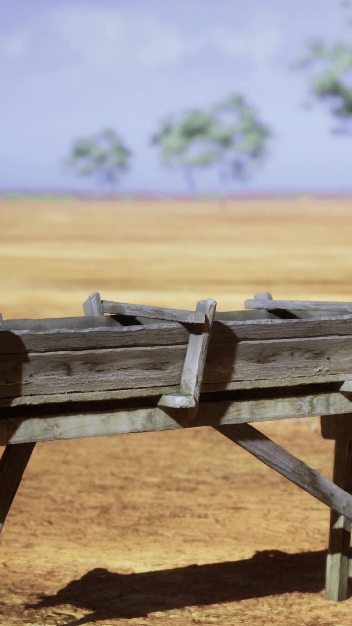 Wooden cart on dirt ground in open space with trees in background