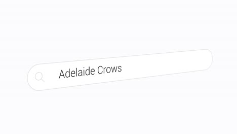typing adelaide crows in computer search bar