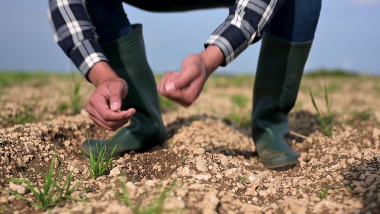 Male hands touching soil on the field. Expert hand of farmer checking soil health before growth a seed of vegetable or plant seedling. Business or ecology concept. High quality 4k footage