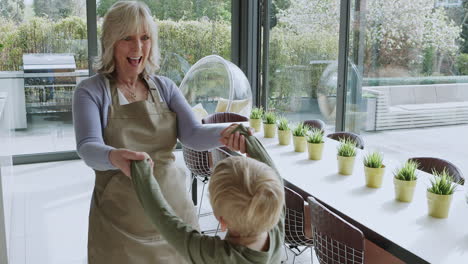 grandmother and grandson playing indoors