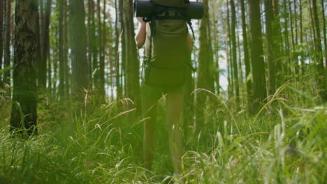 las piernas de una mujer viajera caminando por un camino forestal con un mapa en el bosque de pinos