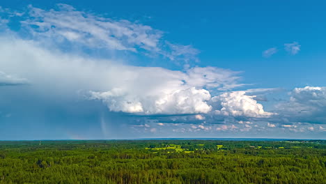 cumulonimbus cloud thundercloud with rain falling from its base timelapse forest nature