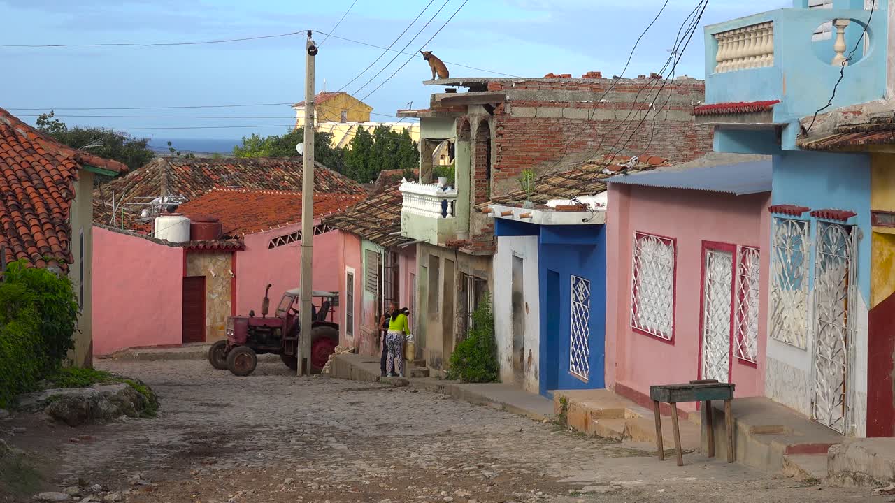 Un cane si trova in cima a un edificio e osserva la città di Trinidad, Cuba.