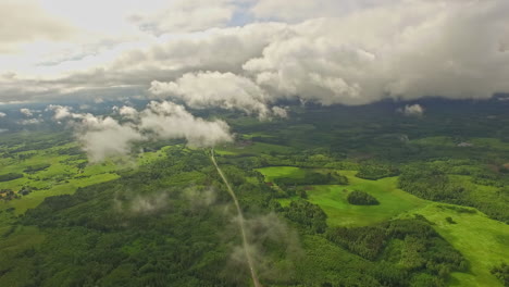 beautiful green valley with forest areas