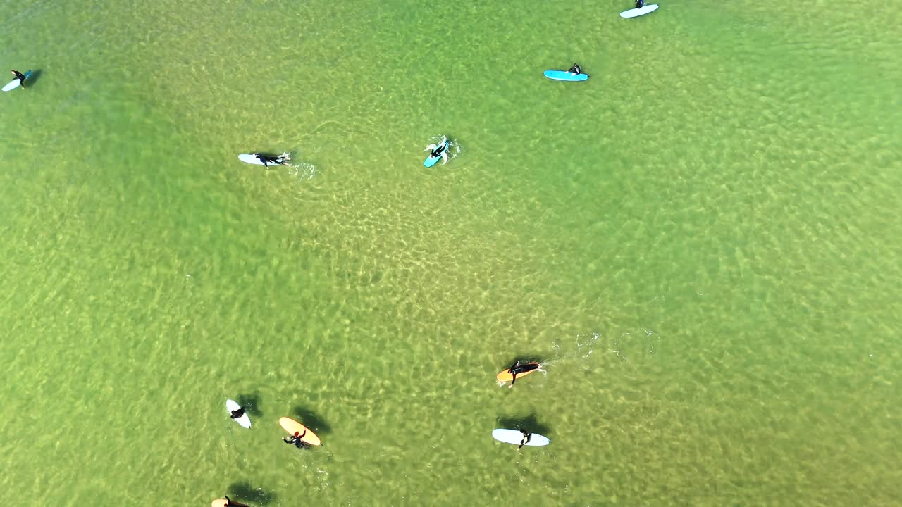 Aerial view of people paddleboarding