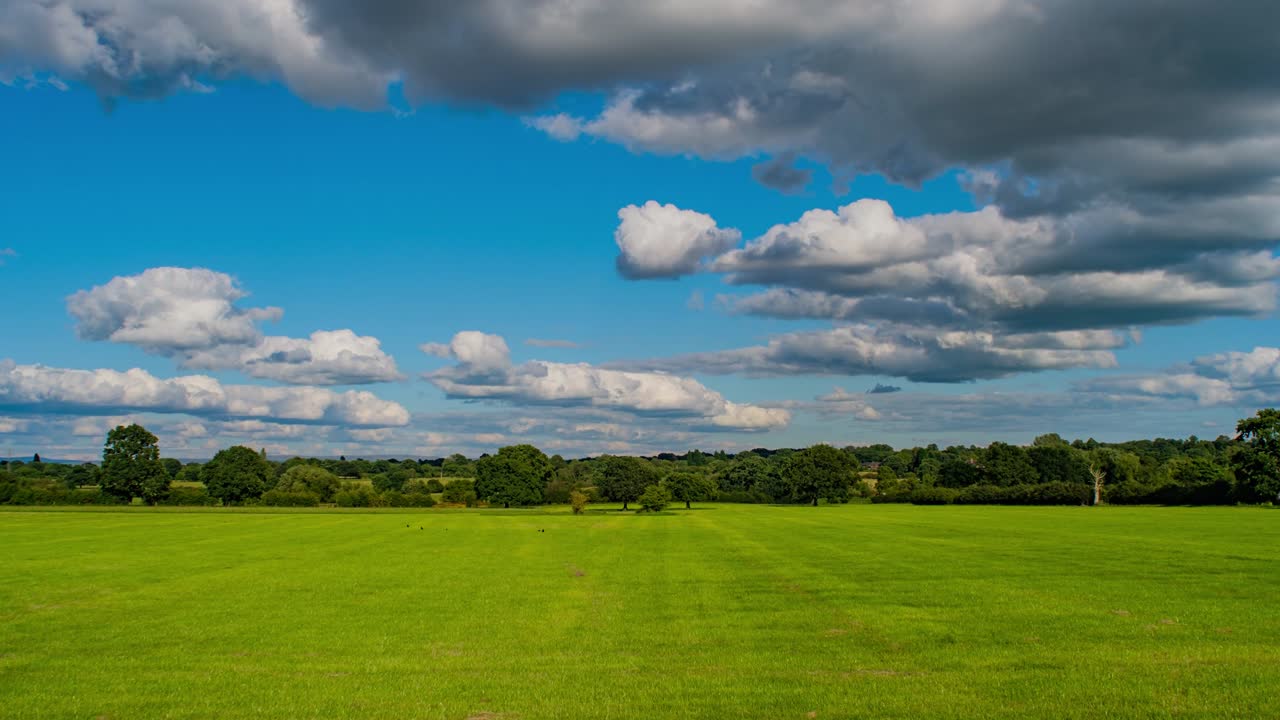 잉글랜드의 녹색 풀 배경