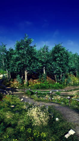 Exploring a serene forest path under a vibrant blue sky at sunset