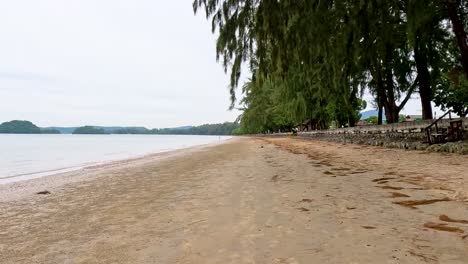 escena de playa vacía en un día nublado