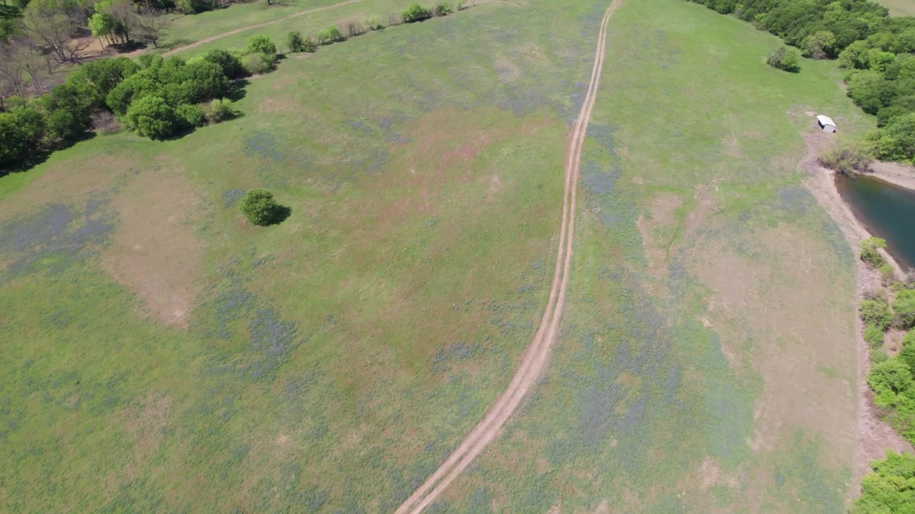 Aerial flight over Bluebonnets in Bristol, Texas. This is a famous spot where people stop to take photographs of the Bluebonnets.