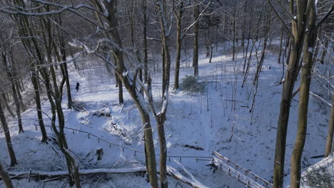 Solitary-figure-trekking-through-a-serene-snow-covered-forest