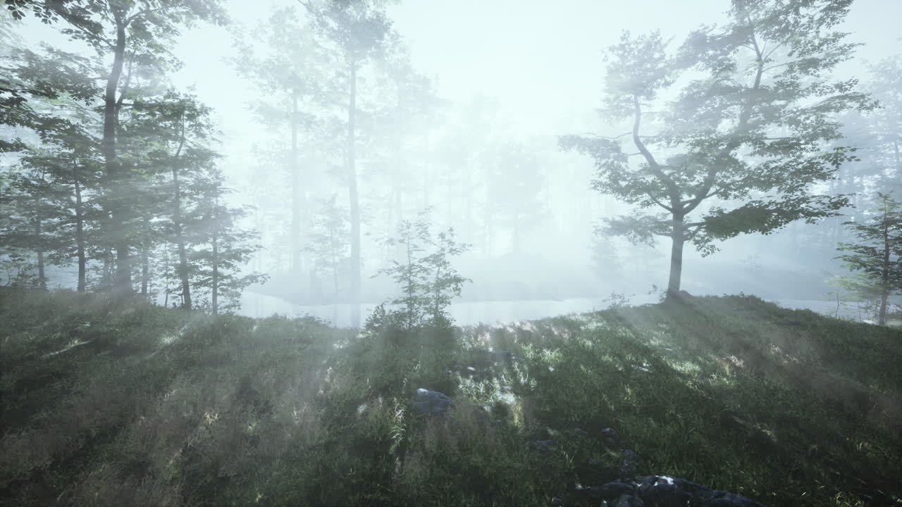 magic dark autumn forest scenery with rays of warm light