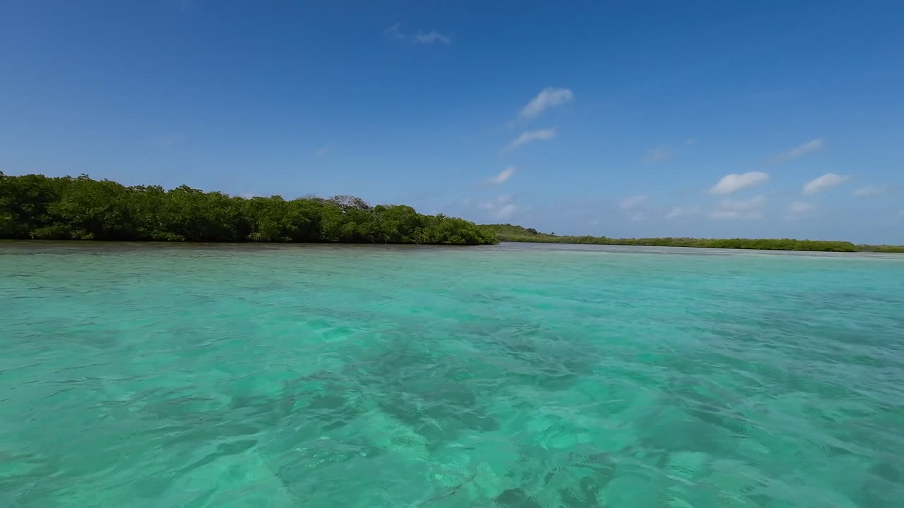 Navigazione POV all'interno di una laguna blu cristallina dalla foresta di mangrovie, Arcipelago di Los Roques
