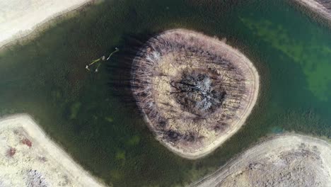 Luftvideo,-Das-Sich-Auf-Eine-Insel-In-Einem-Teich-Senkt