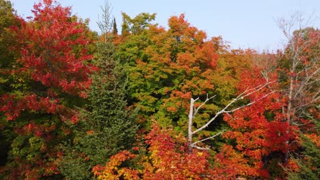 Siga-La-Toma-De-Un-Dron-De-La-Reserva-Faunique-La-Vérendrye,-También-Conocida-Como-Reserva-De-Vida-Silvestre-La-Vérendrye-En-Québec,-Canadá