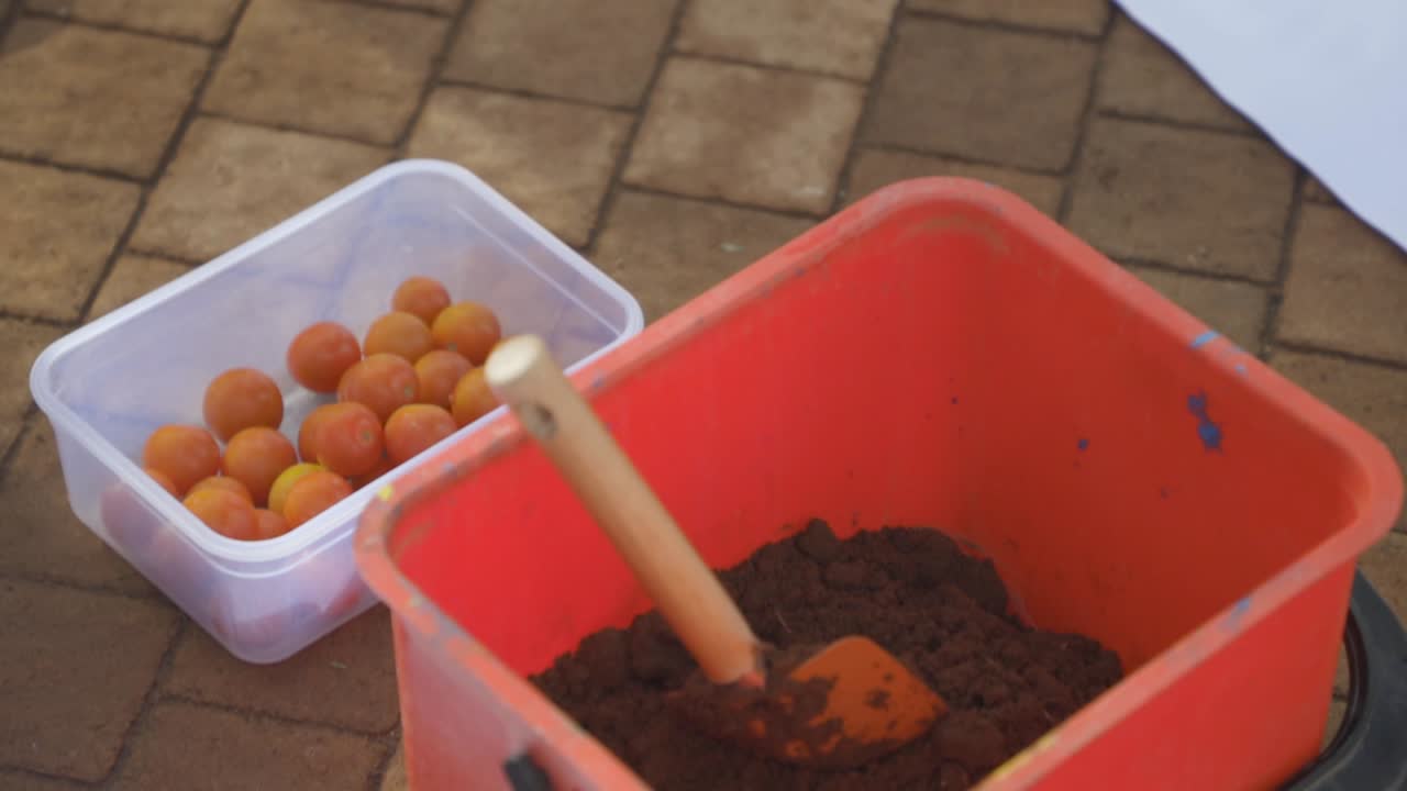 Preparing to Plant Cherry Tomatoes: Soil, Bucket, and Tomatoes