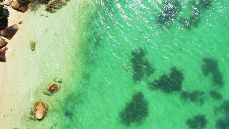 crystal emerald water vibrating on turquoise lagoon washing beautiful beach with sand and limestone cliffs in thailand