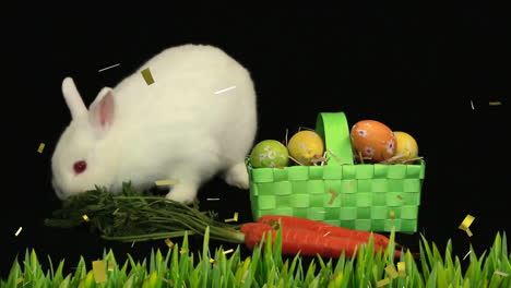 animación de confeti sobre conejo blanco con canasta y hierba sobre fondo negro en pascua