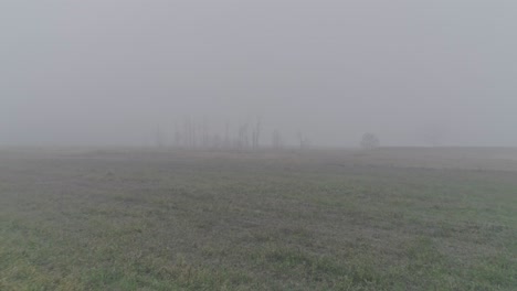 vuelo de otoño a través de la niebla sobre el campo hacia el río