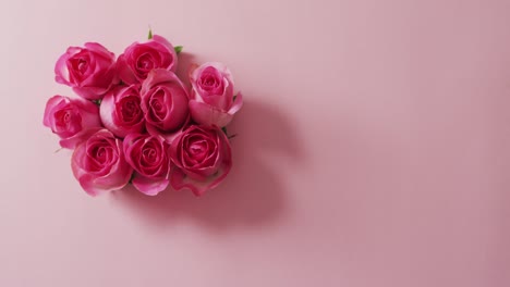 Bouquet-of-pink-roses-on-pink-background-at-valentine's-day