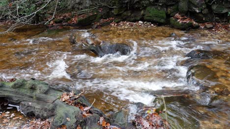 rushing river flowing through colourful idyllic autumn woodland lush foliage