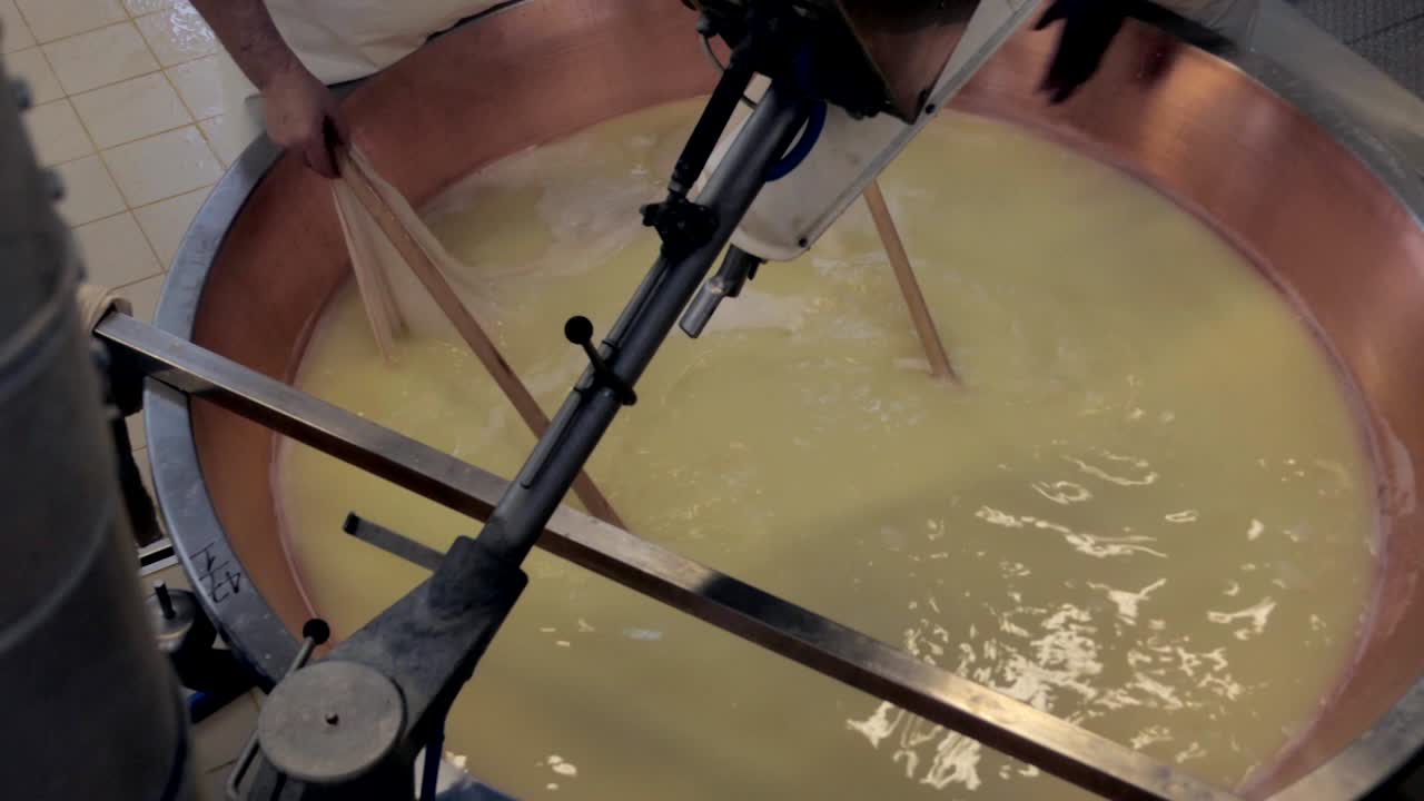 production of parmesan cheese, harvesting from brine