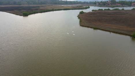 Drohne-Nach-Vogel-über-Bauernhof-Und-Fluss-Gruppe-Von-Reiher-Möwen-Stille-Wasser-Reflexion-Vogelperspektive-Drei