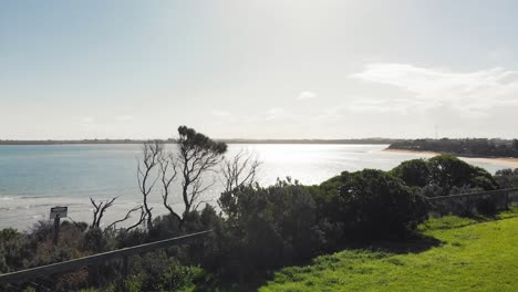 Die-Drohnenkamera-Hebt-Sanft-Ab-Und-Steigt-In-Den-Himmel-über-Unberührte-Strände-Mit-Grünem-Gras-Und-Ruhiges-Wasser-In-San-Remo,-Australien