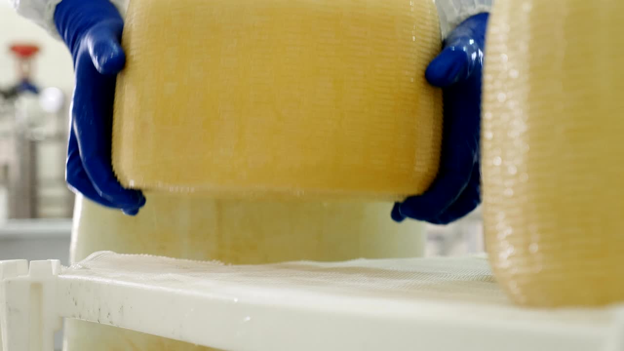 공장에서 치즈를 만드는 것 - 근접