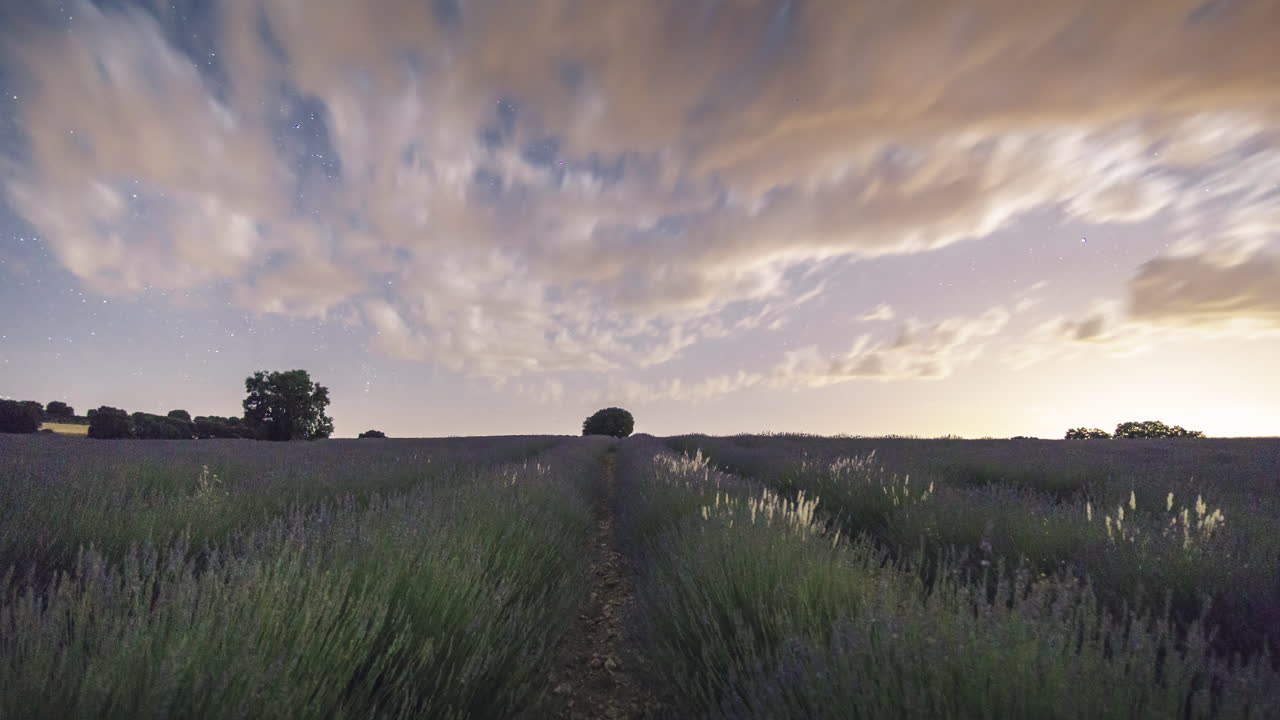 lapso de tiempo de la vía láctea que se eleva sobre los campos de lavanda en brihuega, españa