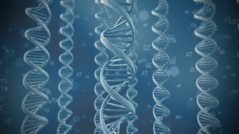 dna molecule rotates on a blue background. looped seamless animation.