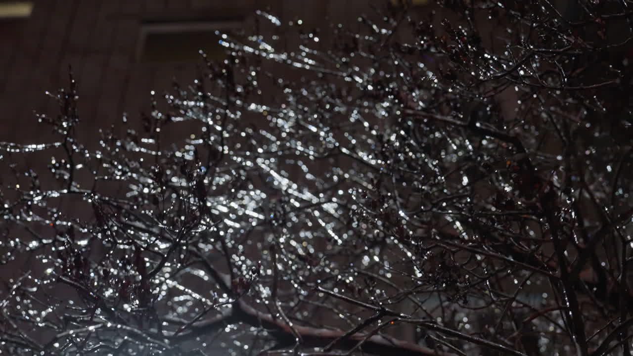 얼음과 눈이 반이는 은 나무 가지의 클로즈업, 근처 건물 창문에서 빛에 의해 조명, 반이는 세부 사항과 함께 아름다운 겨울 장면을 만니다.