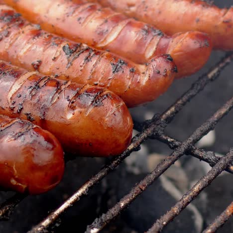 close up on placend in row on barbecue grill tasty frying sausages  slow motion video