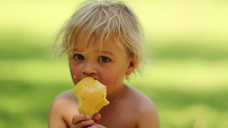 candid real life moment of infant toddler boy holding a pear fruit with his mouth while sitting in outdoor park outside in the sunlight in 4k clip resolution