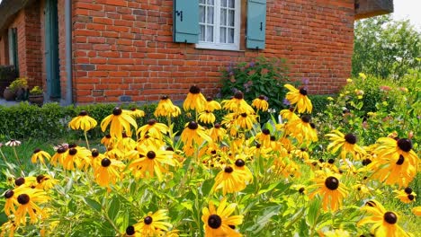 vibrant yellow flowers blooming brightly in front of rustic brick cottage, featuring traditional thatched roof and soft blue shutters amid serene summer garden landscape