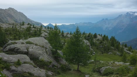 idyllic tilt-up view of lush, coniferous forest grounds and rocks with stunning mountainous background