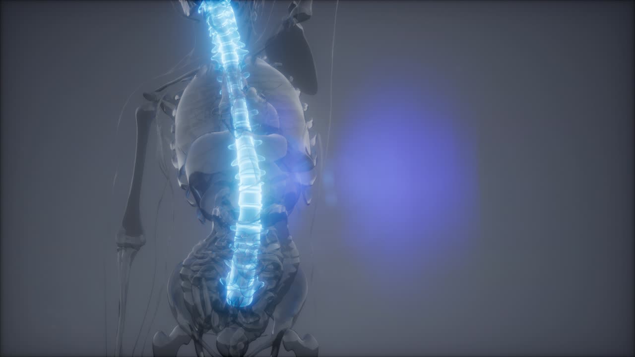 허리  ⁇ 에 허리 통증