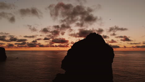 sunset over a rocky outcrop with seabirds