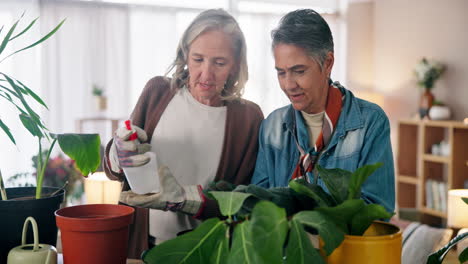 senior women caring for houseplants