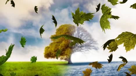 animación de hojas de otoño que caen sobre el árbol de otoño e invierno en el fondo