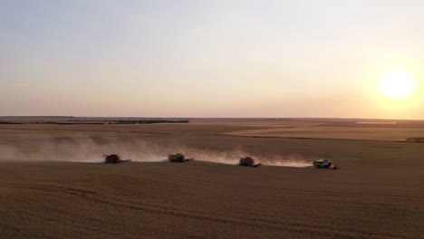 four combines harvesting rows of cut canola with glowing brightly sun on its background